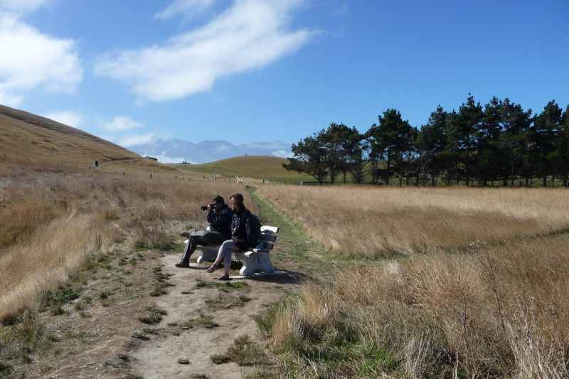 Nieuw-Zeeland 2011 - 1152